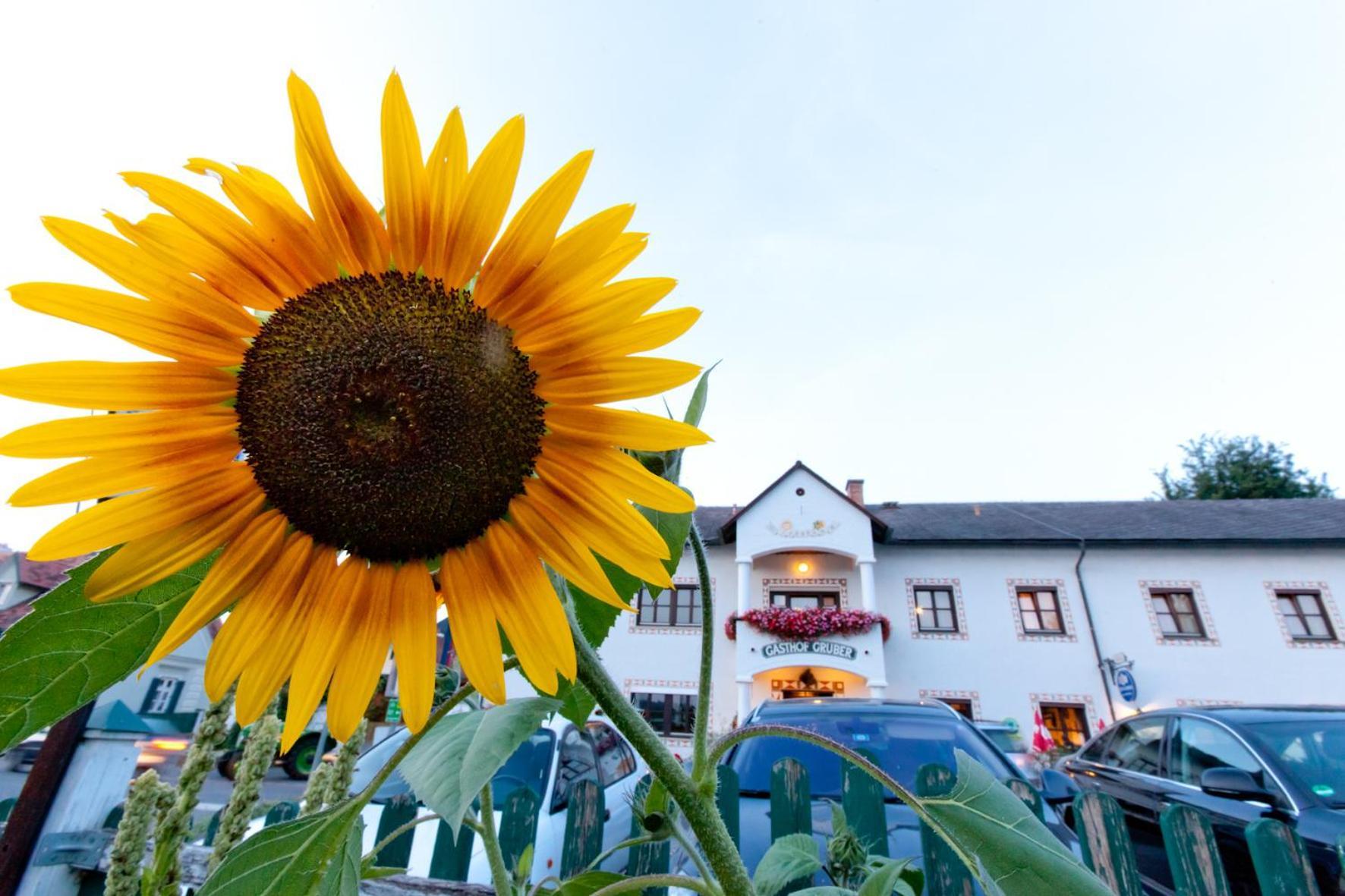 Gasthof Siegfried Gruber Hartmannsdorf ภายนอก รูปภาพ